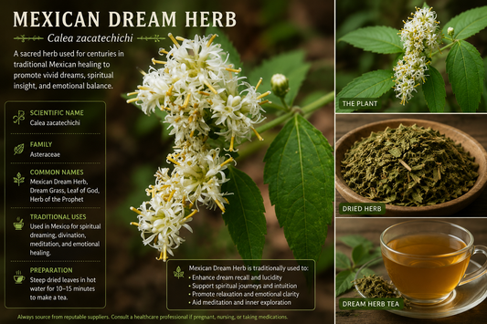 Calea Zacatechichi: The Mexican Dream Herb for Vivid Dreams and Deeper Recall