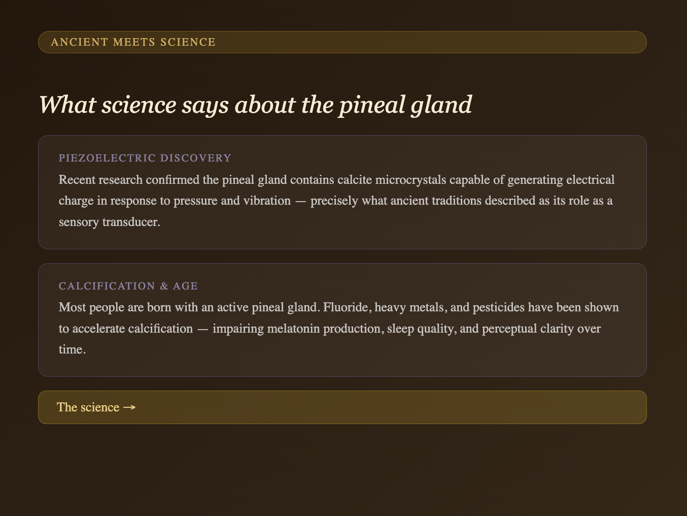 Pineal Activation/ Decalcification