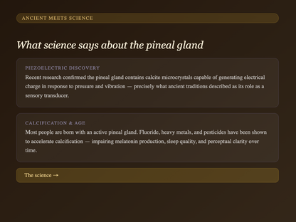 Pineal Activation/ Decalcification